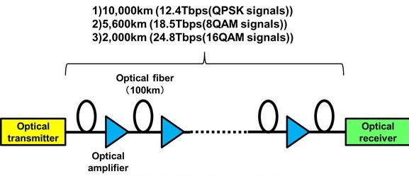 fiber_01