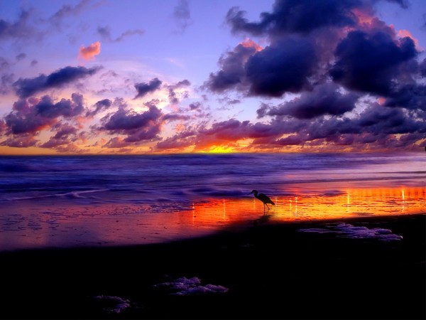 wallpapers_pplware_cores_outono_47