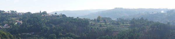 DSC03881
