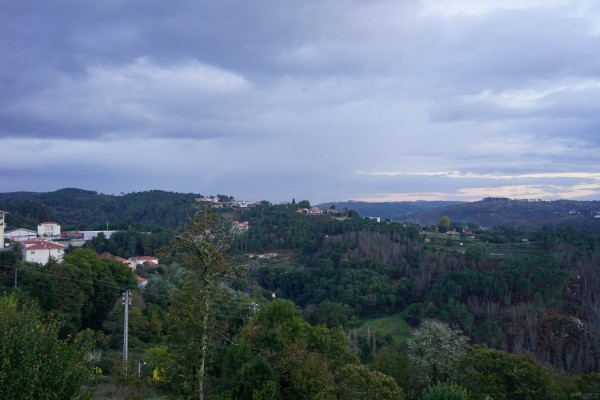 DSC03989