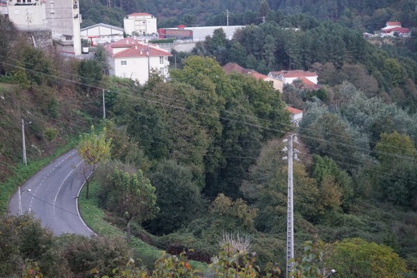 DSC04001