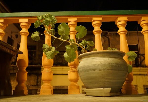 Sonyalpha7_noite (6)