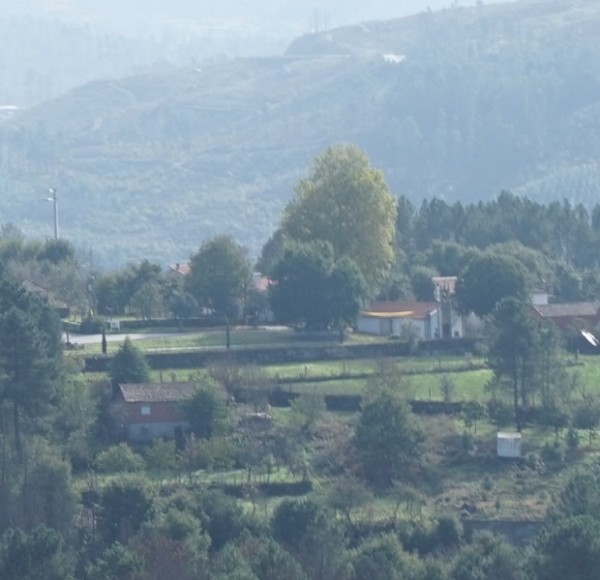 pano_detalhe