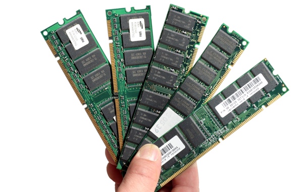 ram