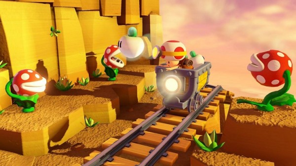 Toad_7