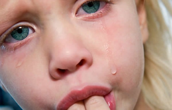 imagem_kids_in_the_web00