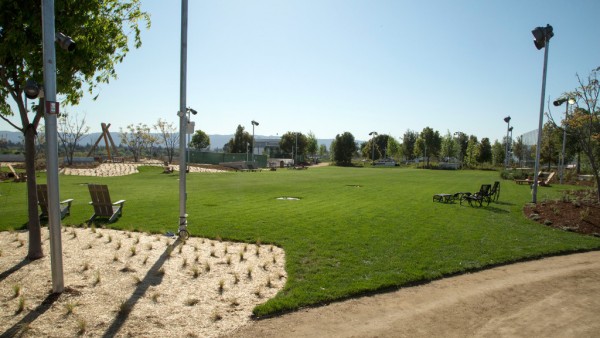 MPK20_Green-Roof-1acsf-1024x576