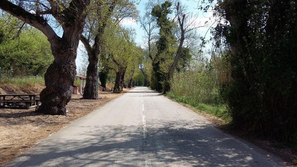 Samsung Galaxy A3 - Foto a paisagem