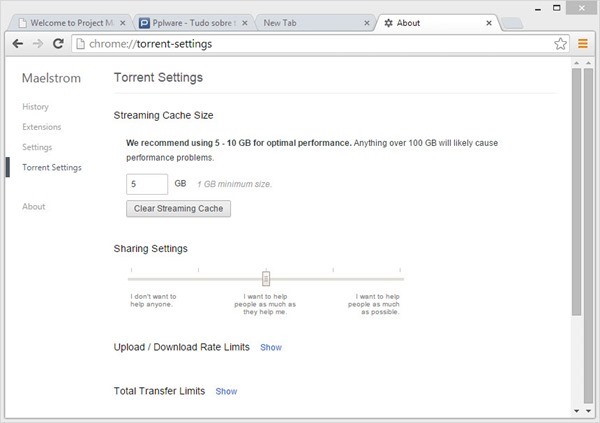 bittorrent_03