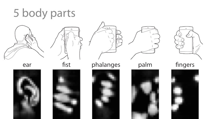orelha_scan_3