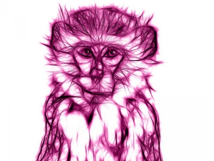 pplware_vividvminkeyubuntu00