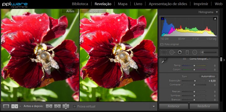 DicasDeFotografia_6