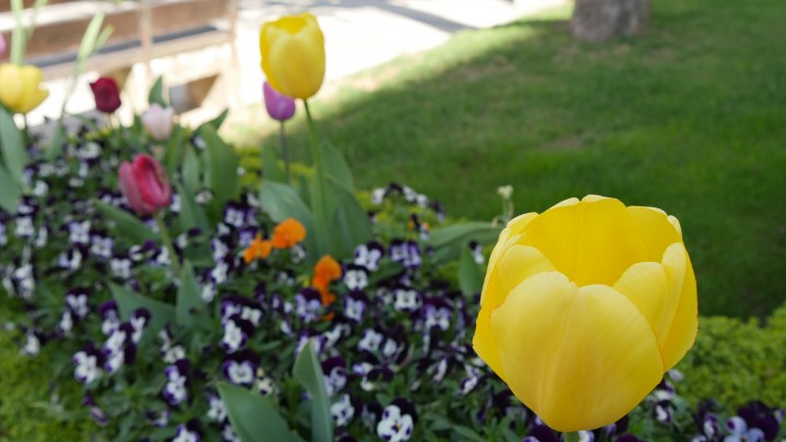 Lumix_pplware_tiny (2)