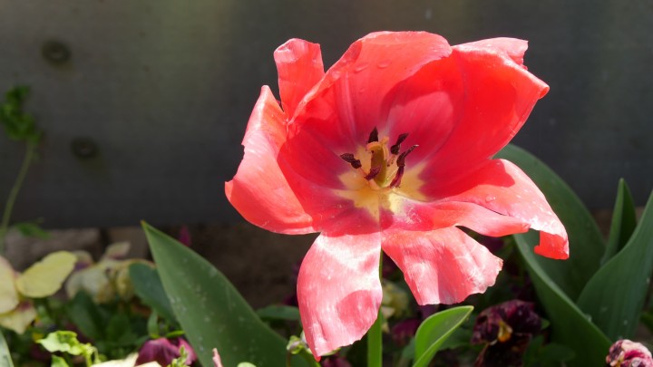 Lumix_pplware_tiny (26)