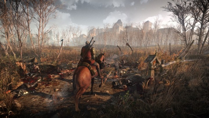 TheWitcher3_3