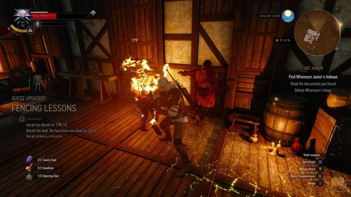 TheWitcher3_6