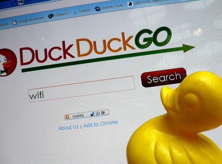 duck