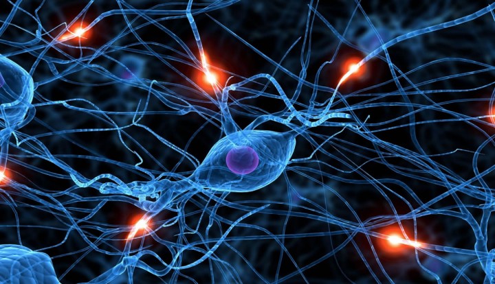 Neurónios artificiais imitam totalmente células do cérebro humano