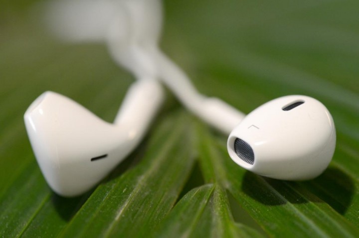 Apple Earphones
