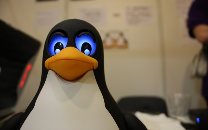botnet_linux_2