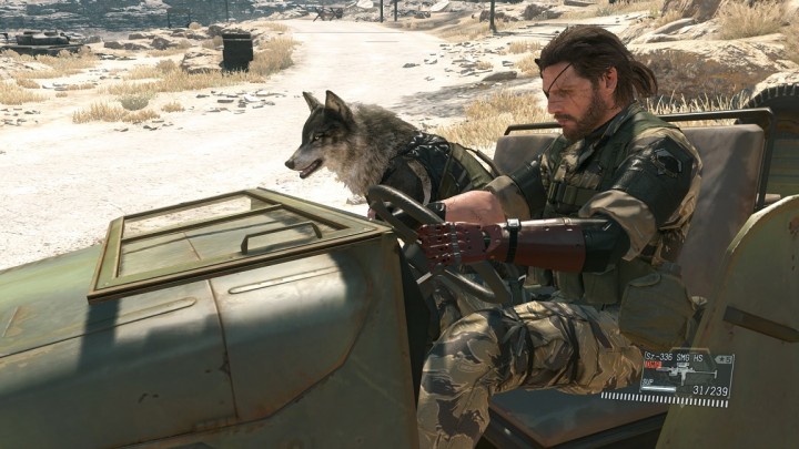 mgstpp_e3_2015_37