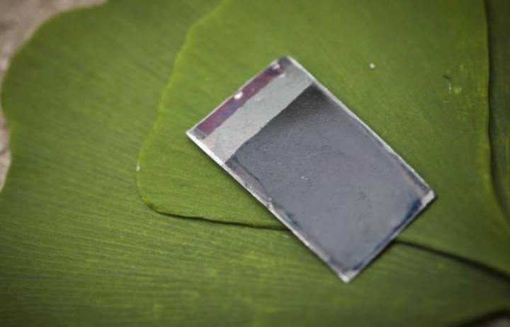 pplware_bacterias_00