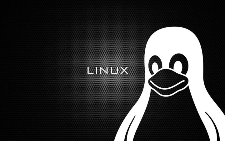 Linux: Visualize o progresso de uma acção com o comando pv