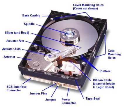 HD 300 GB