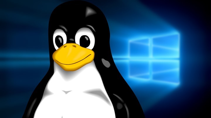 TOP 5 – Distribuições Linux que podem substituir o Windows 10