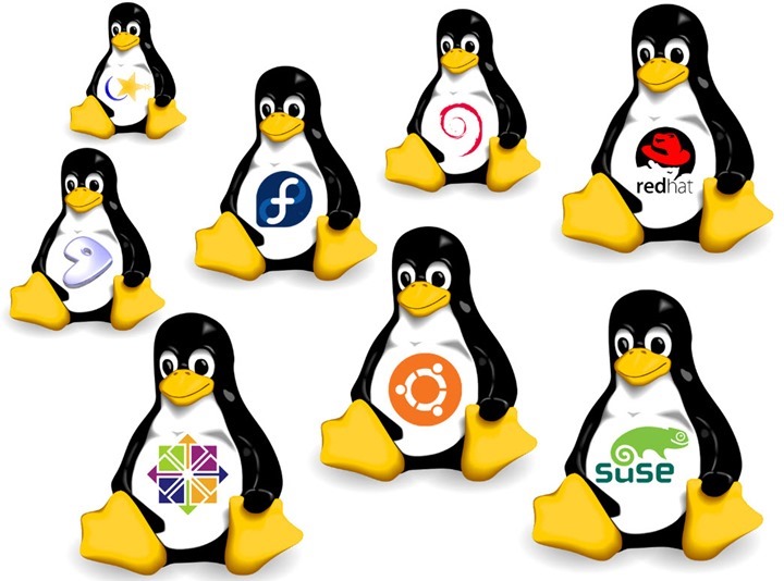 5 distribuições GNU/Linux mais populares em 2016
