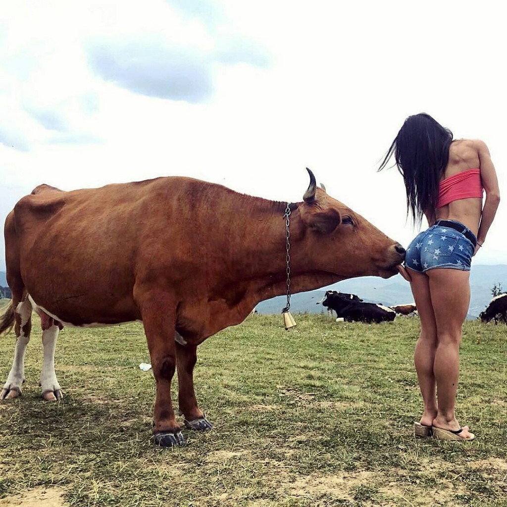 Humor – E Porque Hoje é Sexta