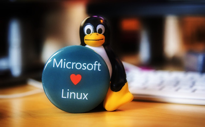 A Microsoft também já aderiu à Linux Foundation