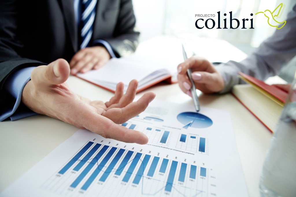 Projecto Colibri RCP 11 – Qualidade na gestão da sua empresa