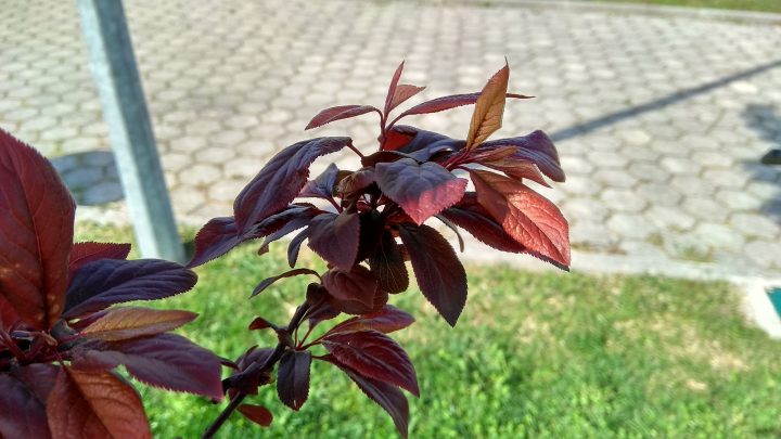 redmi note 4 global edition - 18