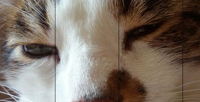 Google reduz tamanho de imagens JPEG em 35%