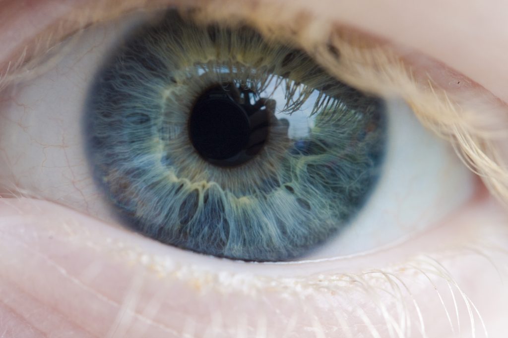 Cientistas criaram novo implante de retina artificial para a visão