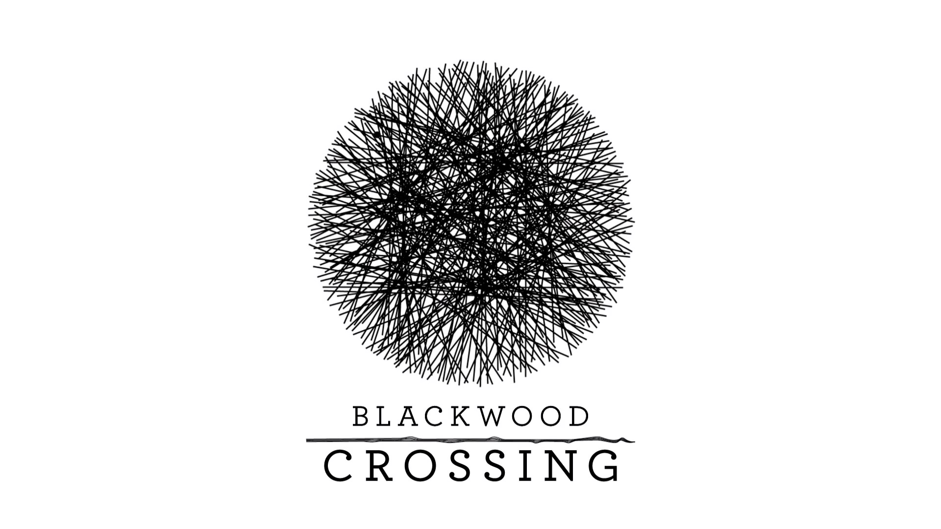 Análise Blackwood Crossing (Playstation 4)