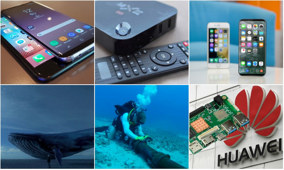 E os destaques tecnológicos da semana que passou foram…