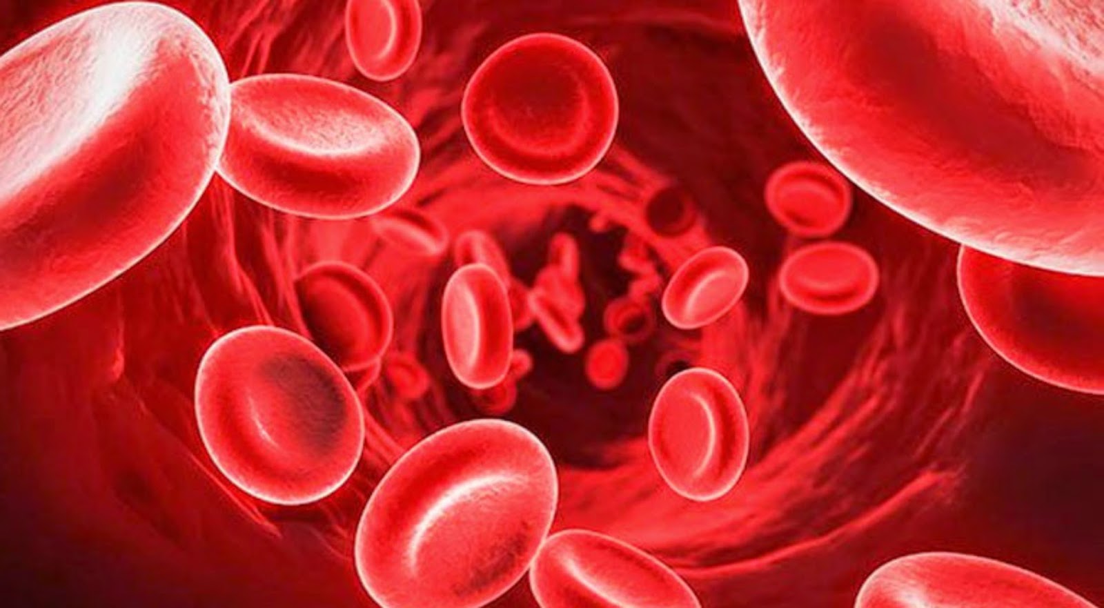 Órgão artificial poderá criar células de combate ao cancro