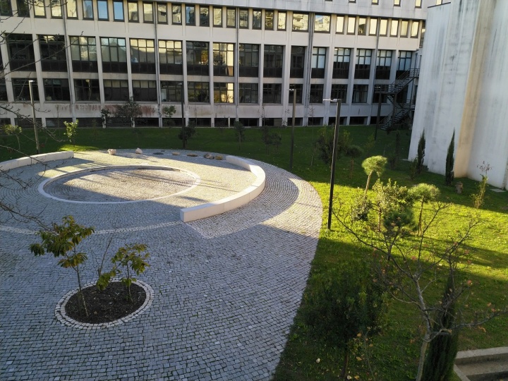 Nokia 8 - camara 05