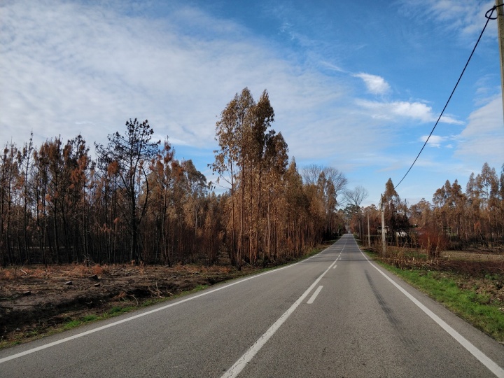 OnePlus 5 - foto camara 04