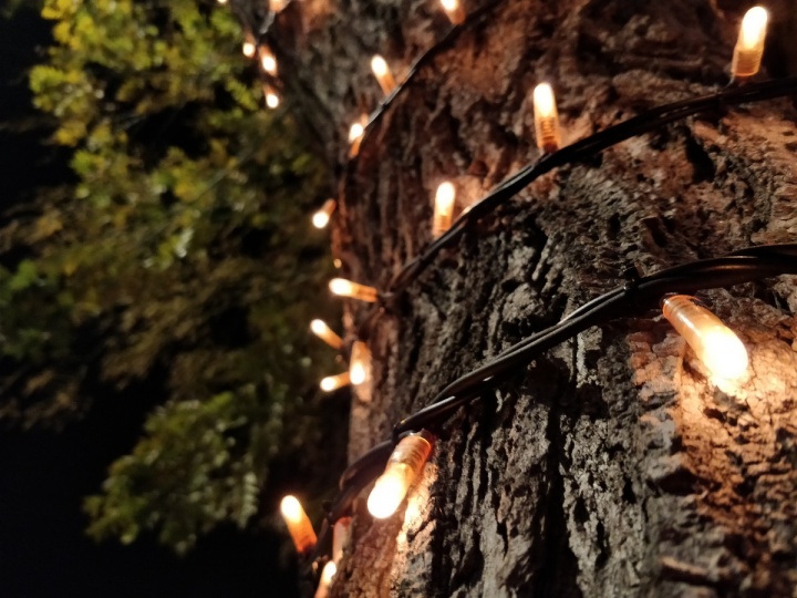 OnePlus 5 - foto camara 17