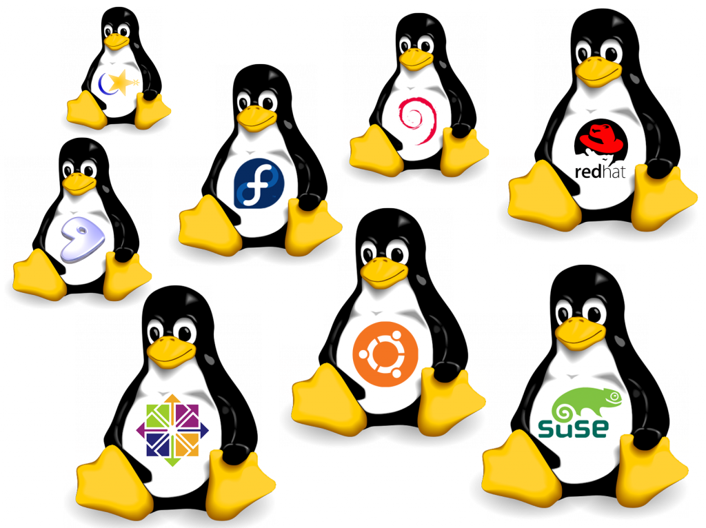 TOP 10 – Distribuições GNU/Linux mais populares em 2017