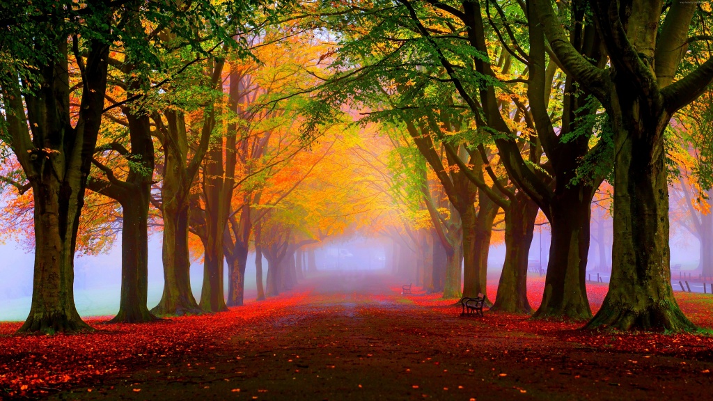 Wallpapers Pplware – Aquele inverno…