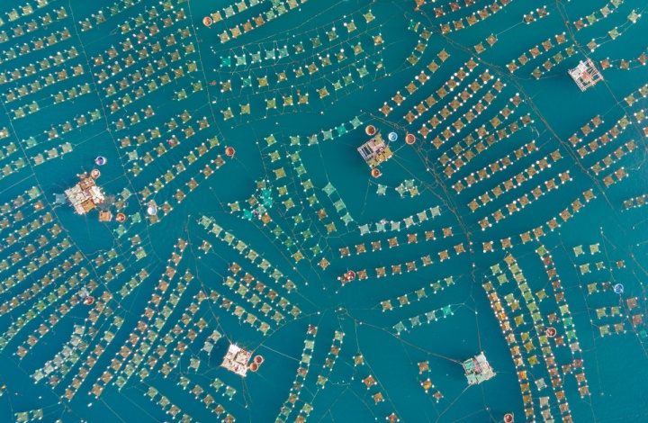 Trung Pham - SkyPixel DJI drones