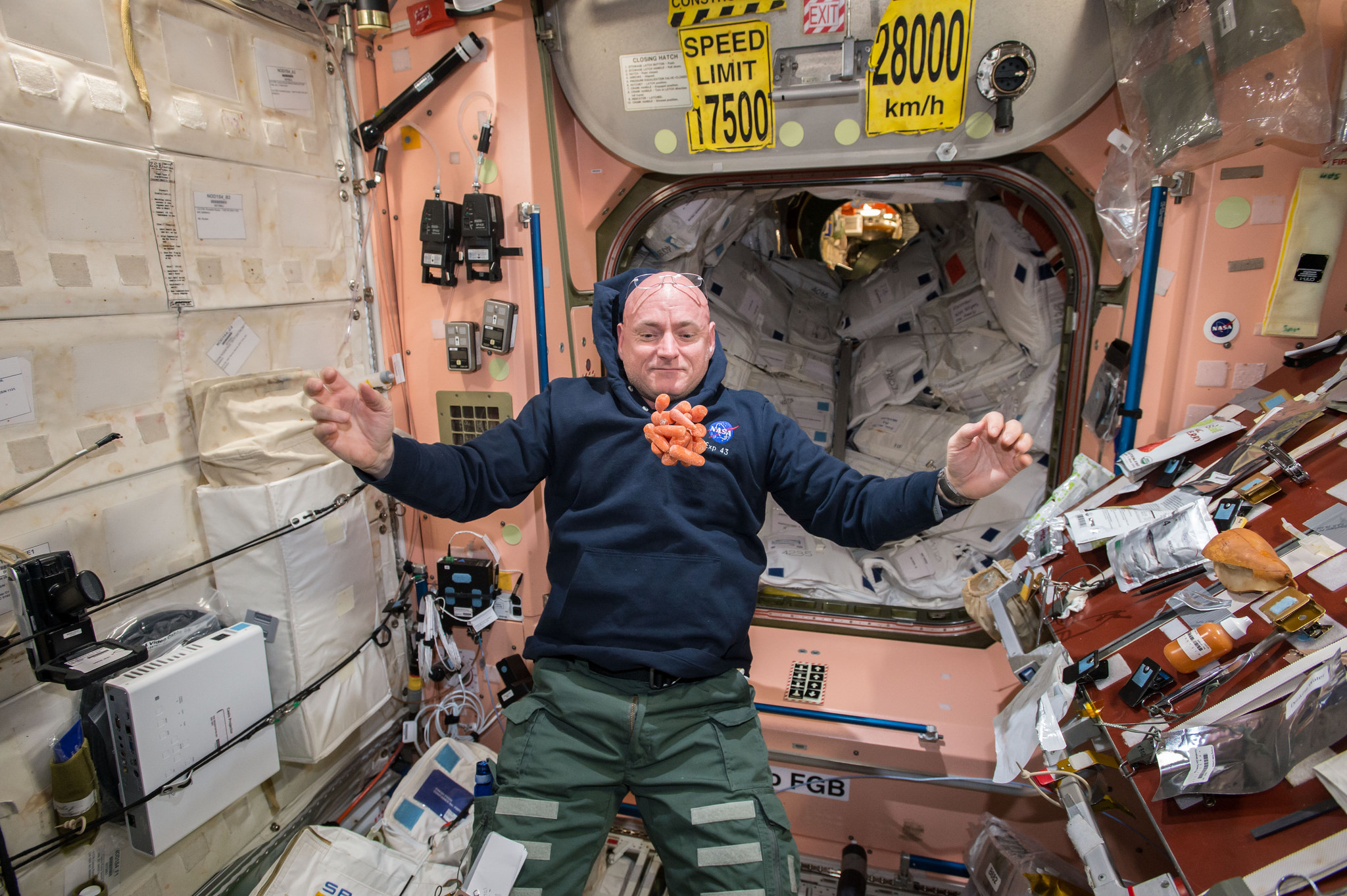 Cientistas transformam fezes de astronautas em comida