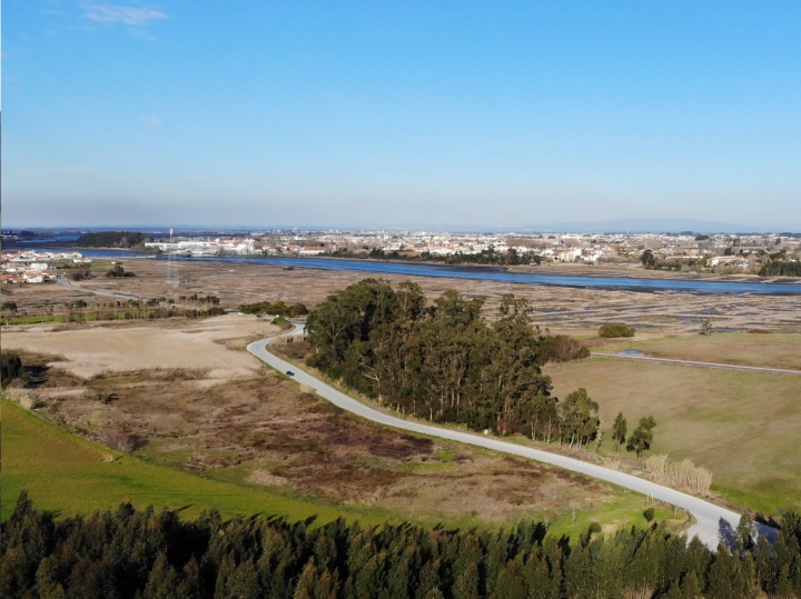 dji-mavic-air-foto-2