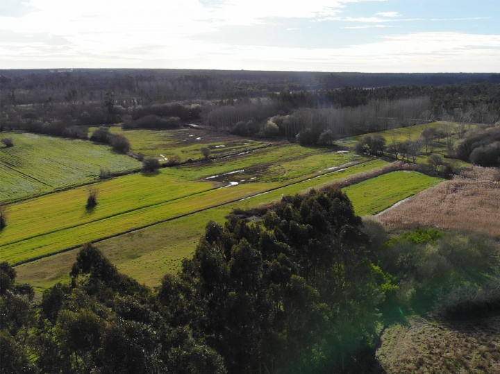 dji-mavic-air-foto-3