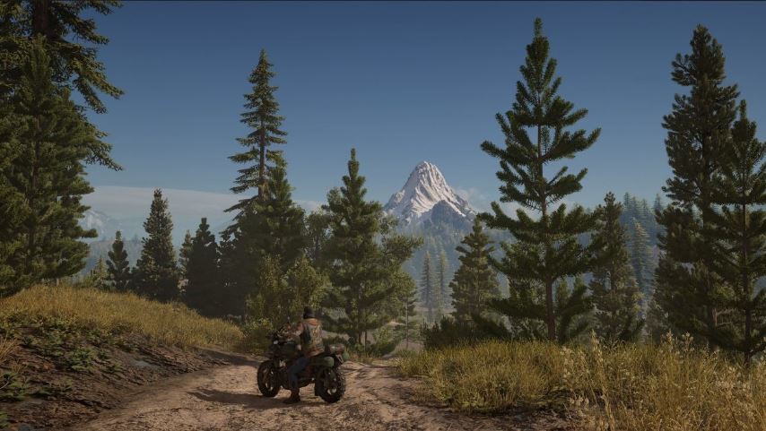 Days Gone: só para o ano