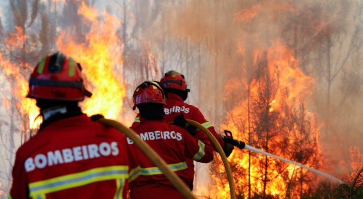 Bombeiros.pt lançam versão iOS de app que pode salvar vidas